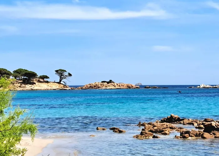 Le Berceau D\'Asciaghju Palombaggia - Acces Plage Et Piscine Privee
