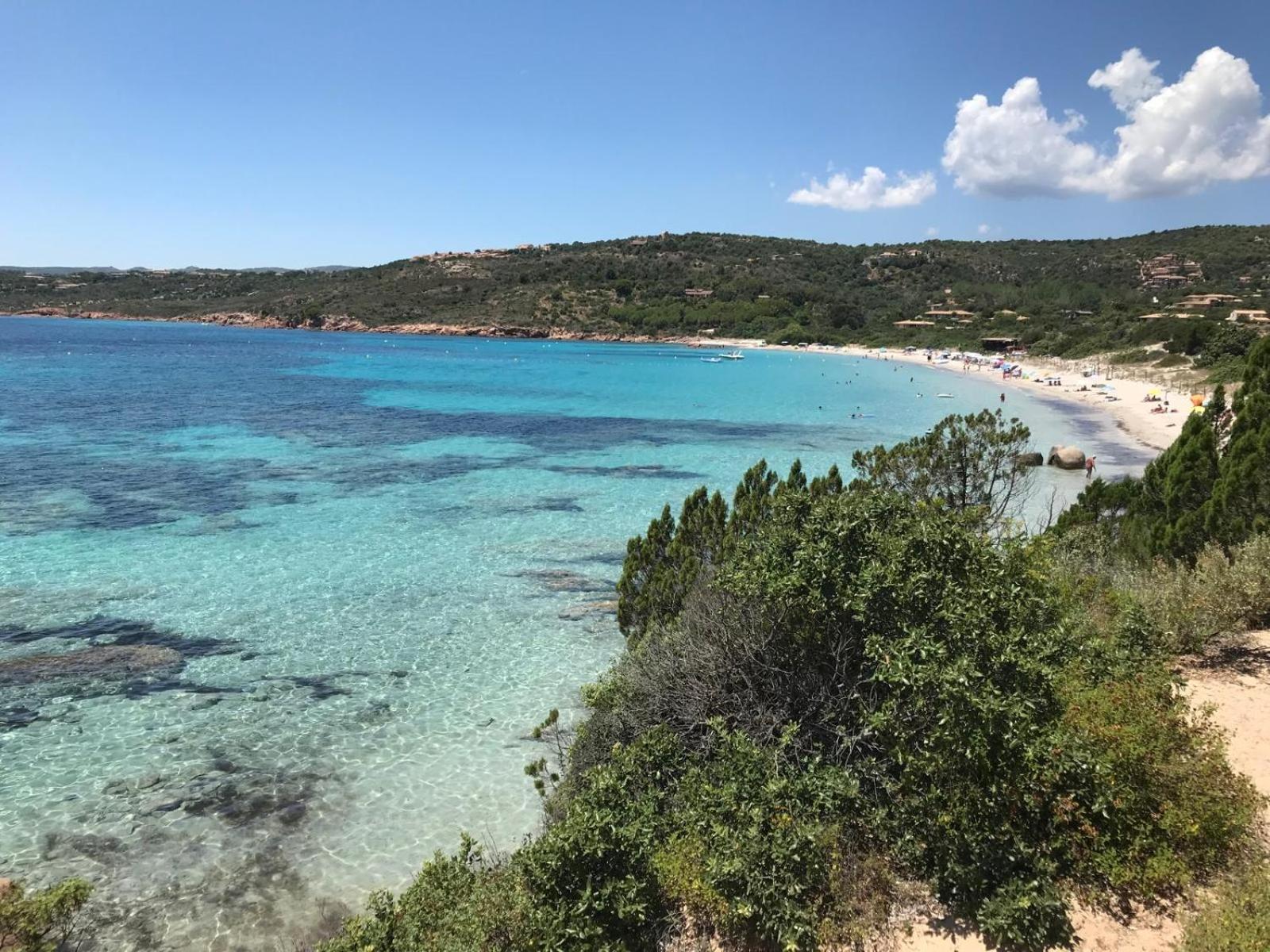 Apartment Le Berceau D'asciaghju Palombaggia - Acces Et Piscine Privee